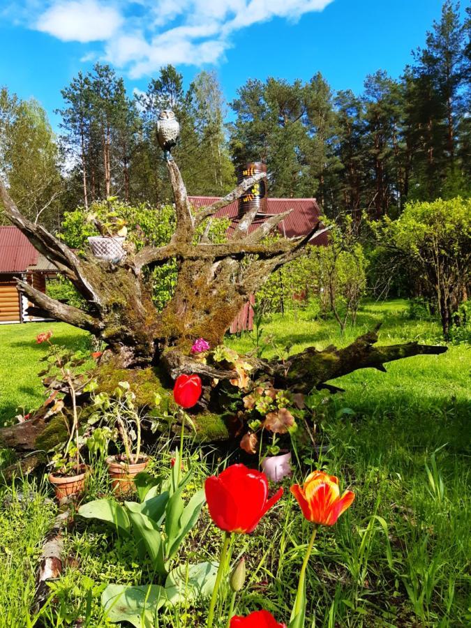 Naroch Guest House Eksteriør bilde